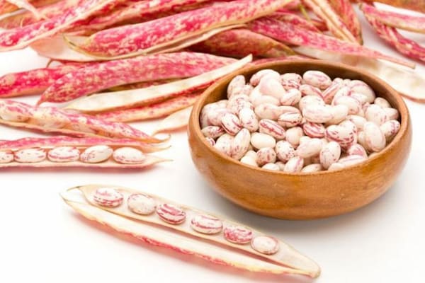 تصویر 4 از لوبیا چیتی درجه یک با کیفیت تضمینی